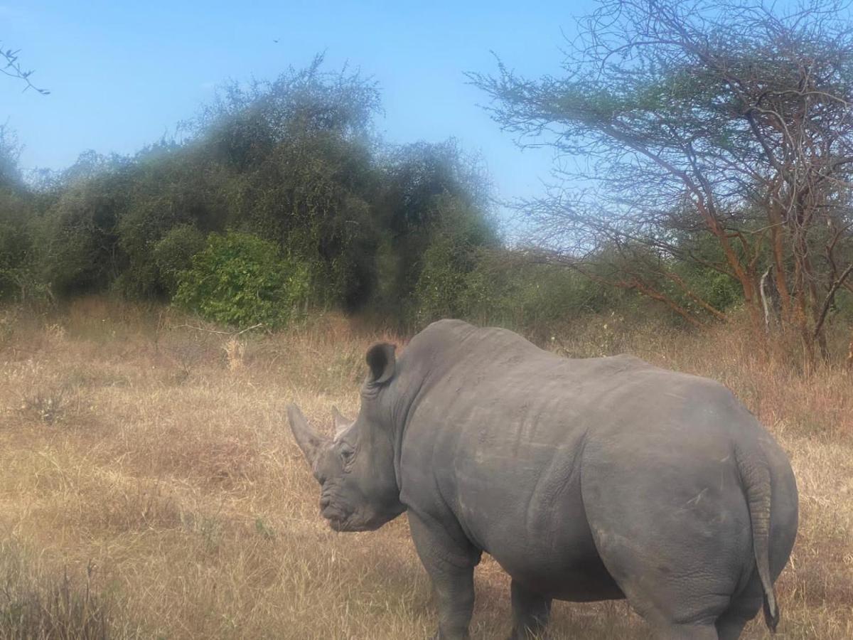 Auberge Africa Thiossane Saly Portudal Eksteriør billede