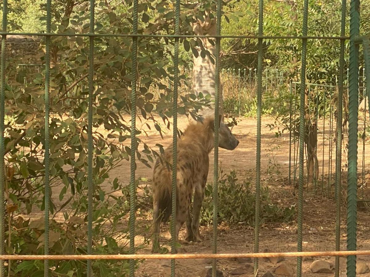 Auberge Africa Thiossane Saly Portudal Eksteriør billede